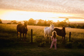 Fernhill Guest Farm Cottages